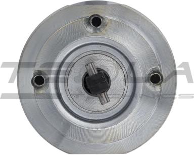 Электромагнит TT76790