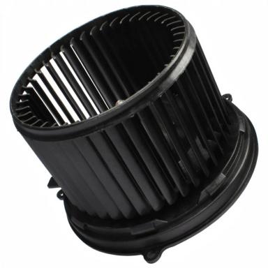 Мотор отопителя TT21030