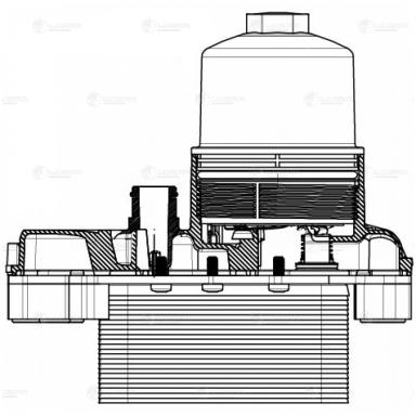 Радиатор масляный LOc 1008