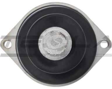 Электромагнит TT76118