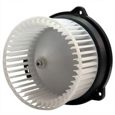 Мотор отопителя TT21021