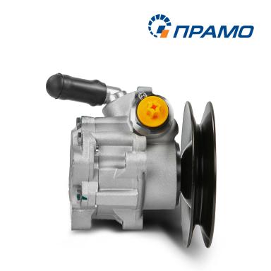 Насос гидроусилителя руля 7691.955.375