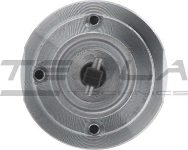 Электромагнит TT76495