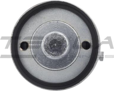 Электромагнит TT76521