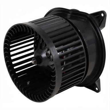 Мотор отопителя салона TT21054